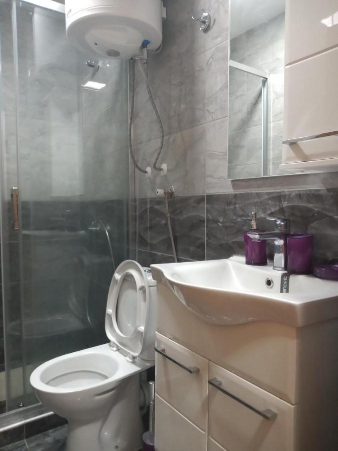 Apartamento Lela Josanicka Banja Exterior foto